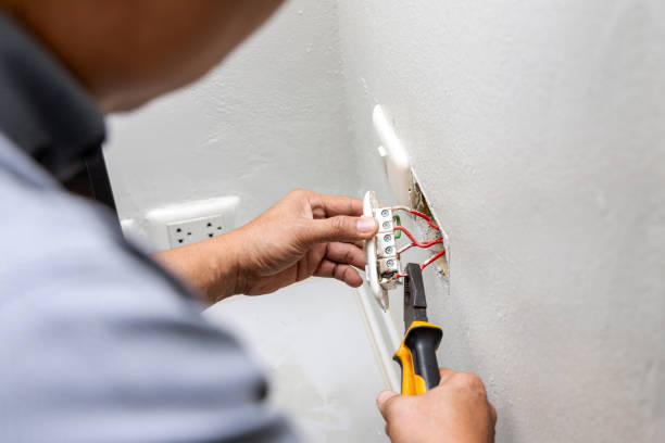 Best Local Electrician Companies  in Mount Olive, NC